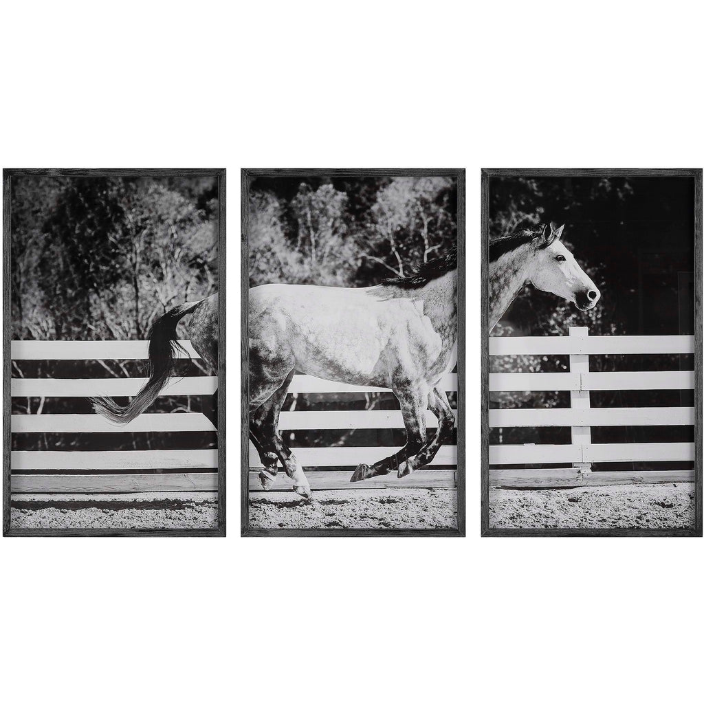 GALLOPING FRAMED PRINTS, S/3