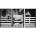 GALLOPING FRAMED PRINTS, S/3