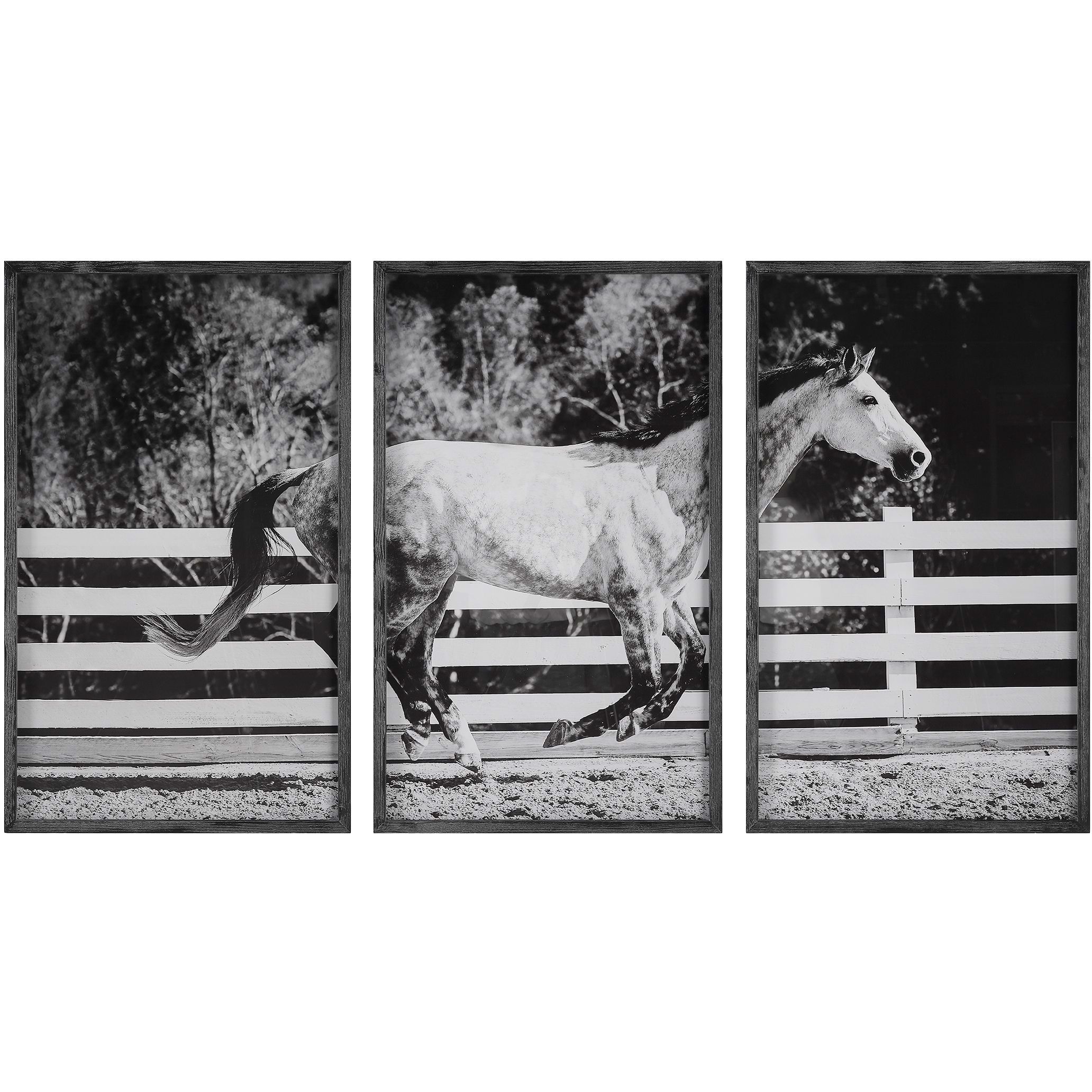 GALLOPING FRAMED PRINTS, S/3
