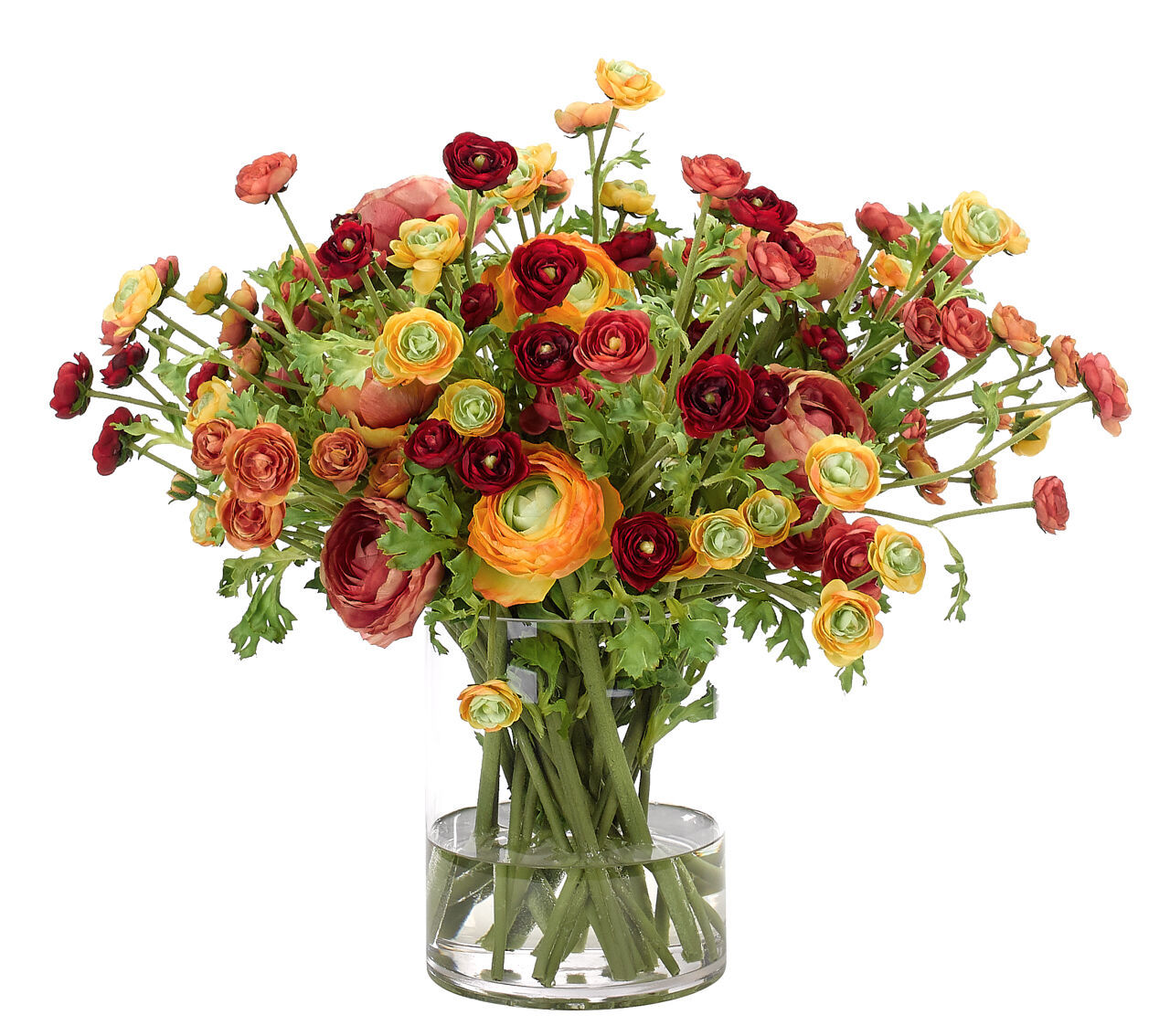 Ranunculus, Faux Watergarden