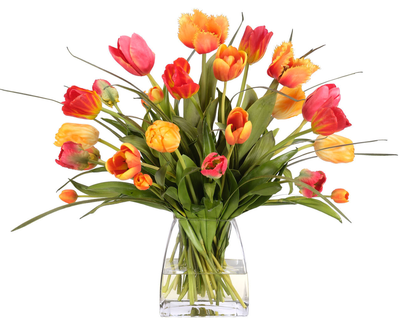 Tulip, Faux Watergarden
