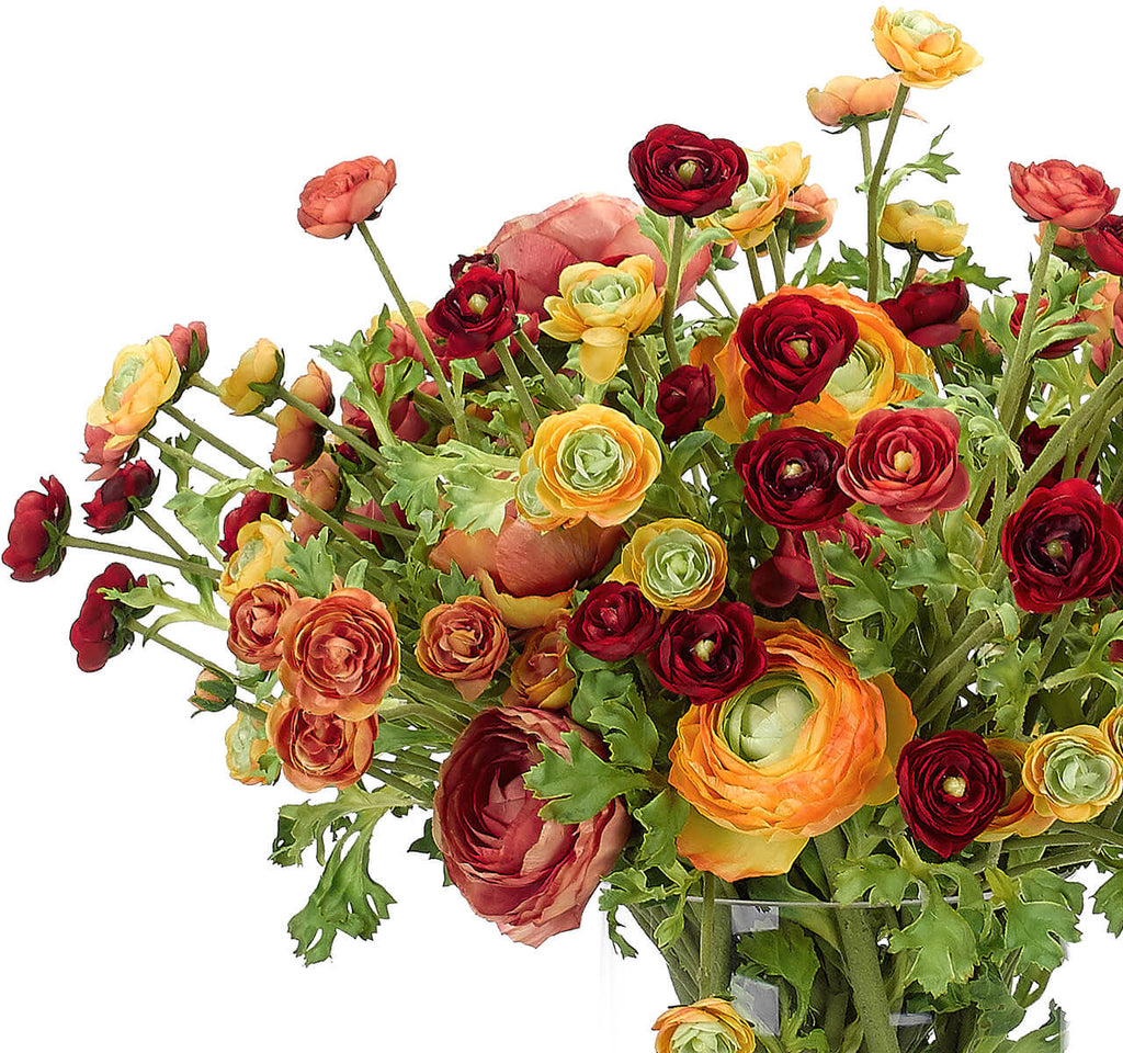 Ranunculus, Faux Watergarden