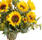 Sunflower, Faux Watergarden
