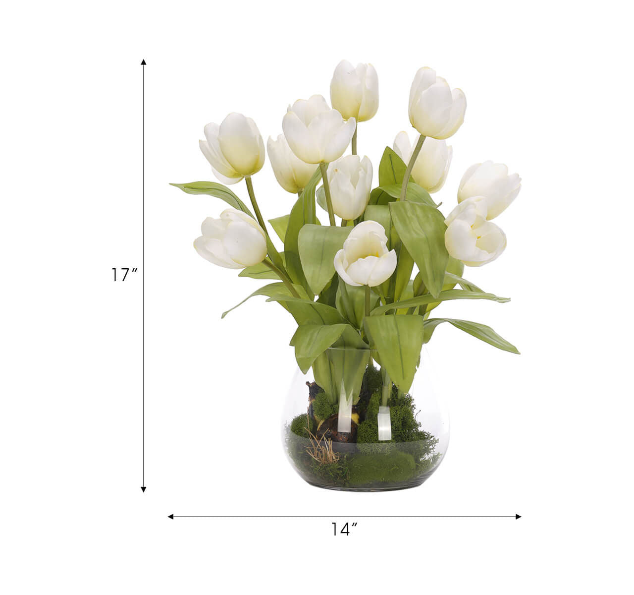Tulip, Faux Moss Garden