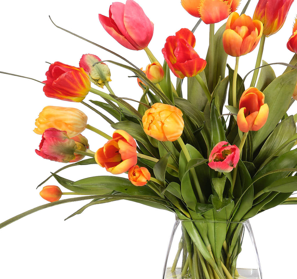 Tulip, Faux Watergarden