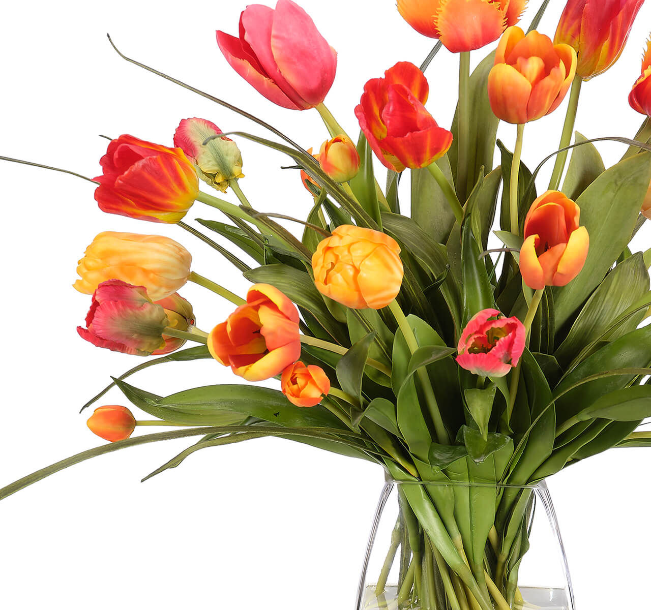 Tulip, Faux Watergarden