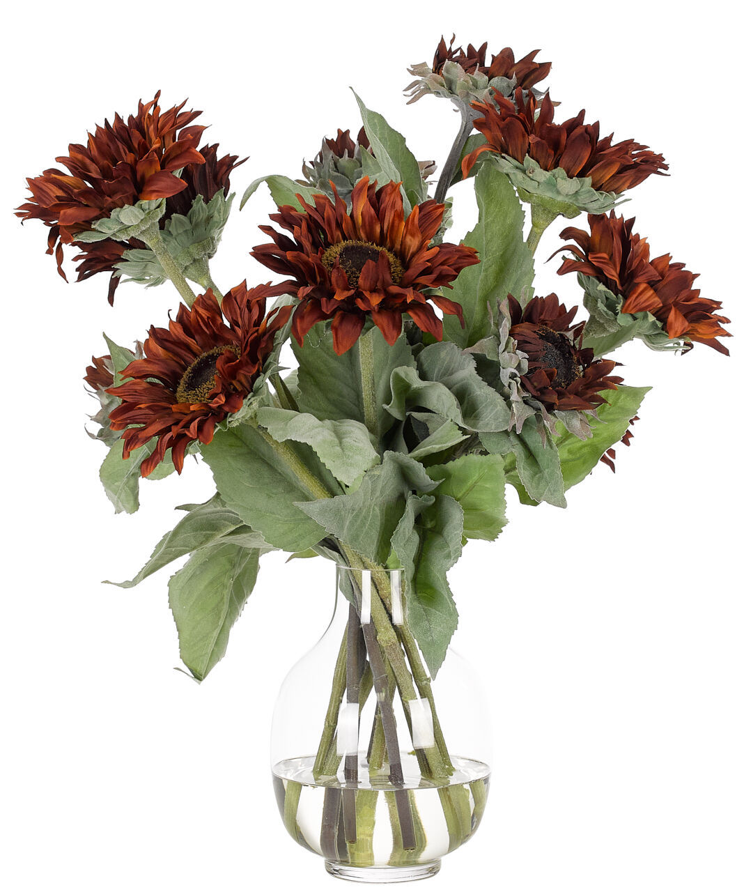 Sunflower, Faux Watergarden