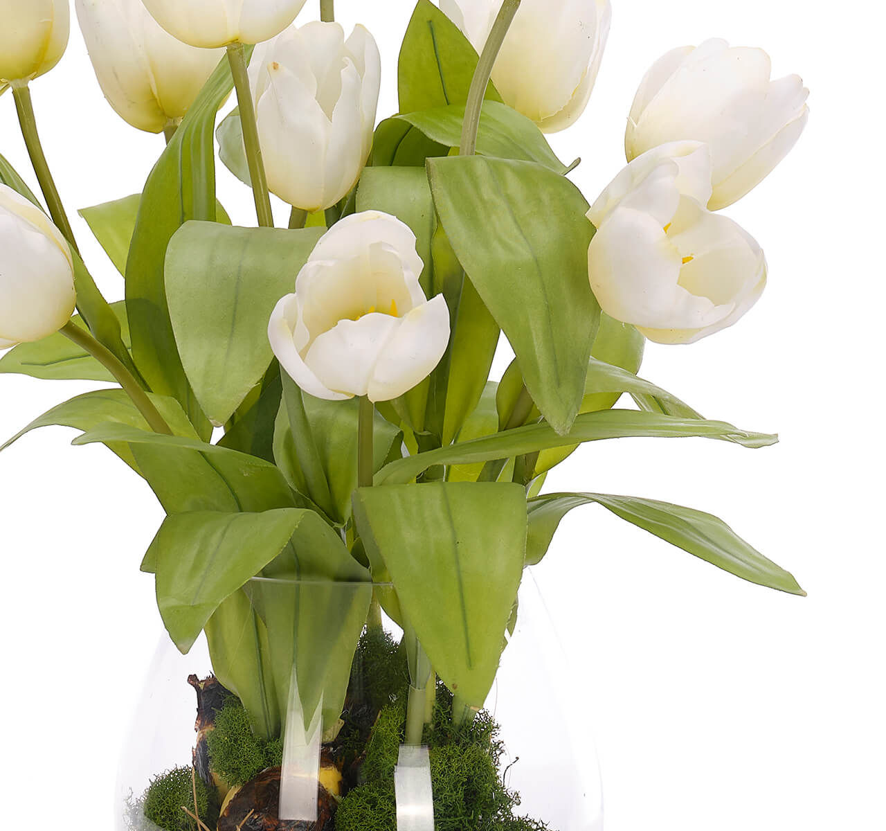 Tulip, Faux Moss Garden