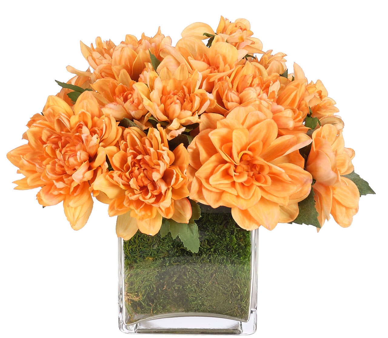 Mum Dahlia, Faux Moss Garden