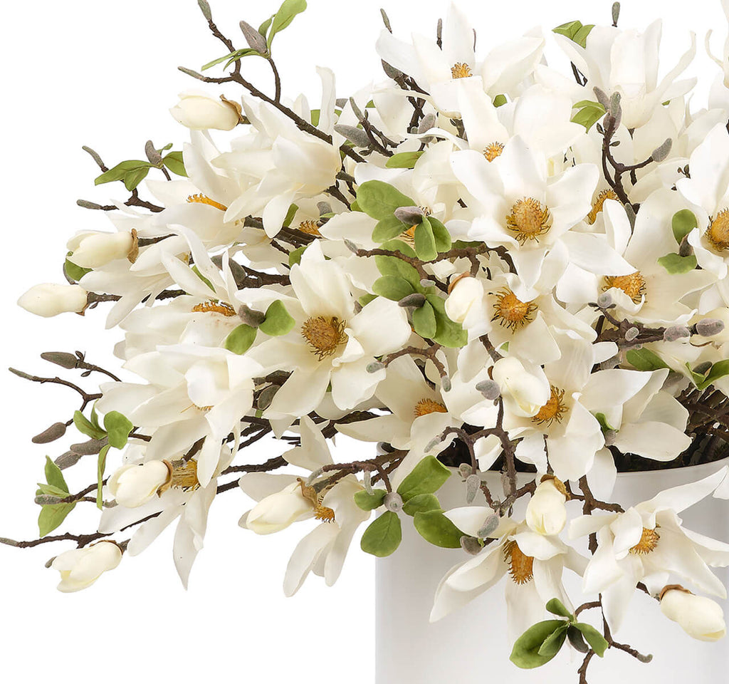 Magnolia, Faux Arrangement