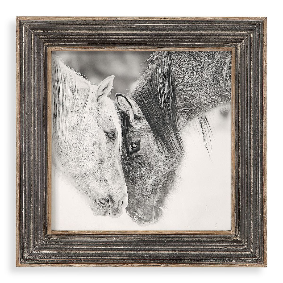 HORSE PRINT