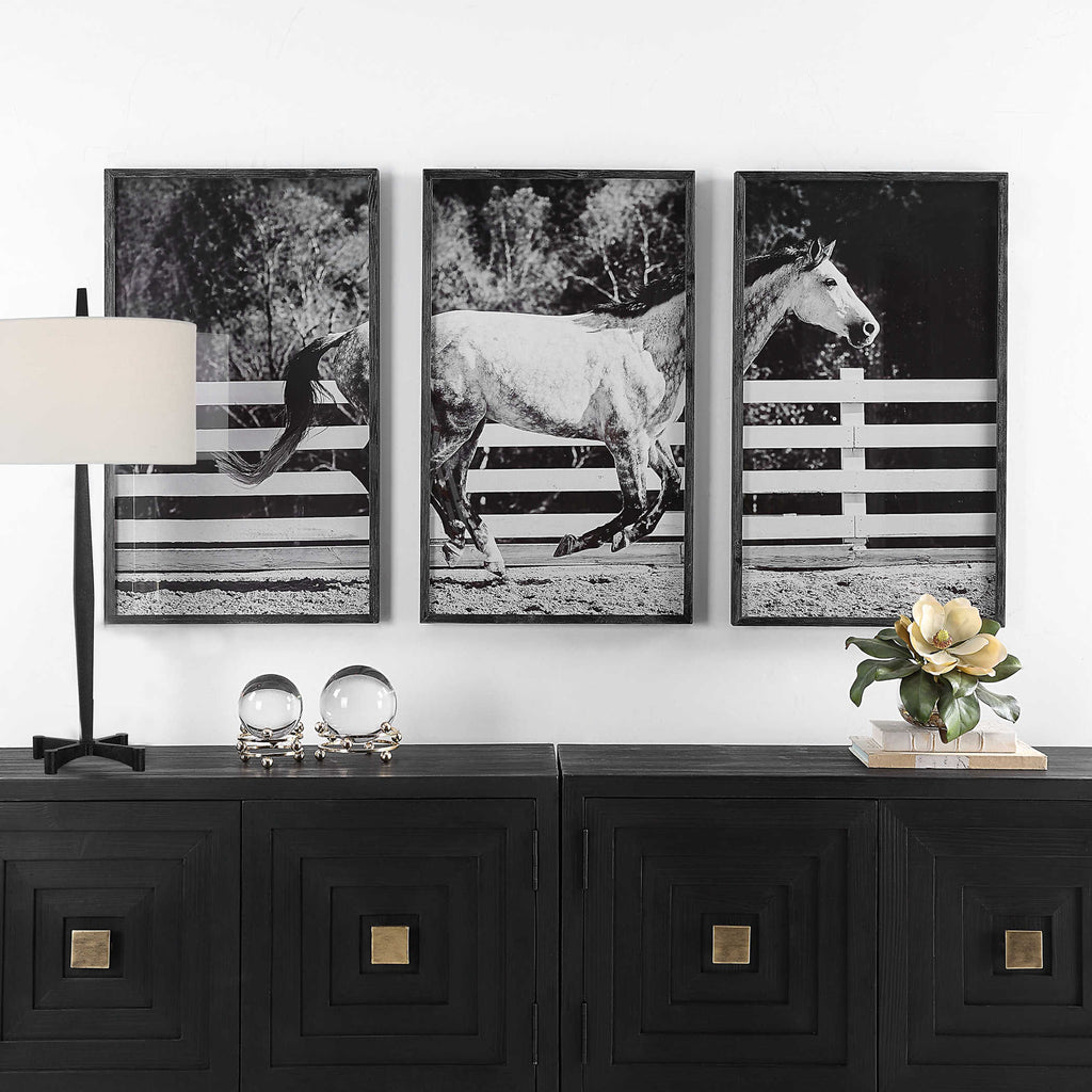 GALLOPING FORWARD FRAMED PRINTS, S/3