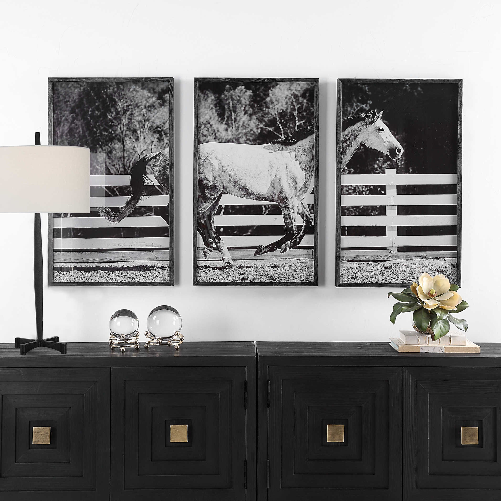 GALLOPING FORWARD FRAMED PRINTS, S/3