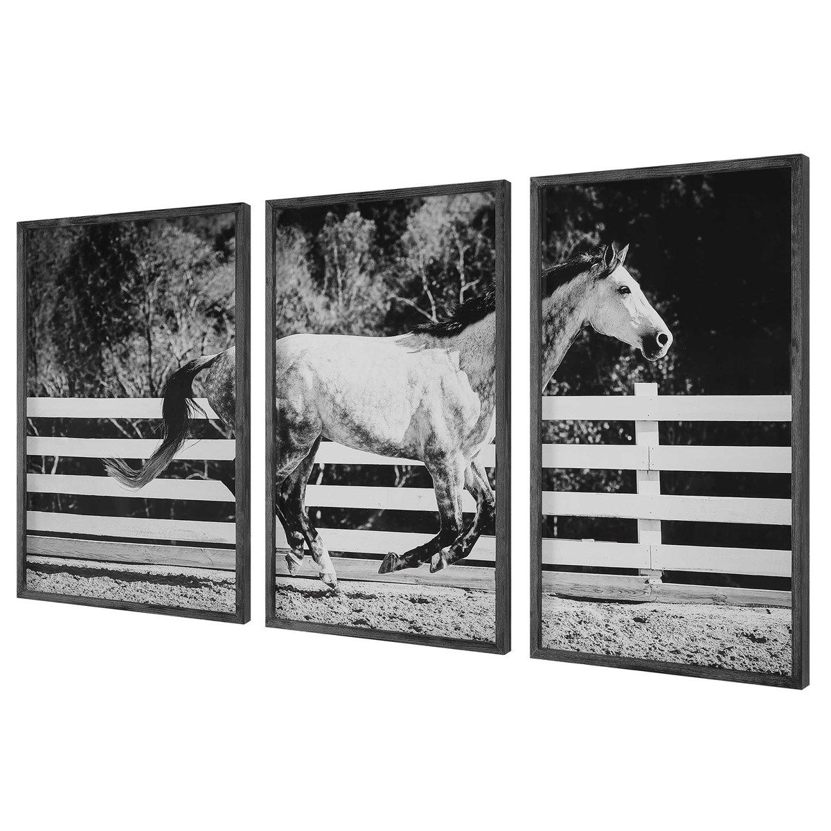 GALLOPING FORWARD FRAMED PRINTS, S/3