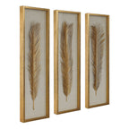PALMA SHADOW BOXES