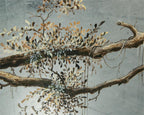 FALLING BRANCH